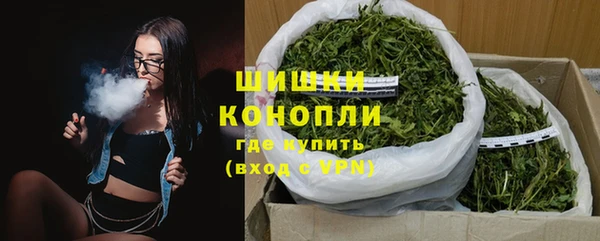 трава Бородино