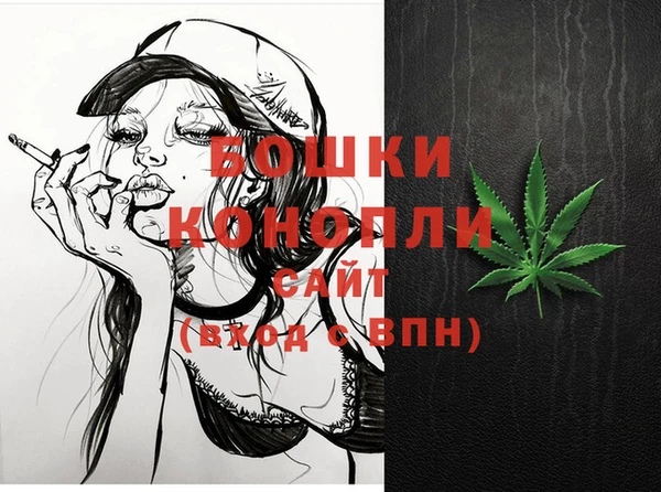 соль ск Бронницы
